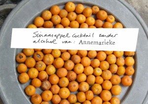 Sinaasappelcocktail zonder alcohol van Annemariek_21 januari_beeld