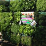 Snors pop-up store bij DDW 34 IMG_9225