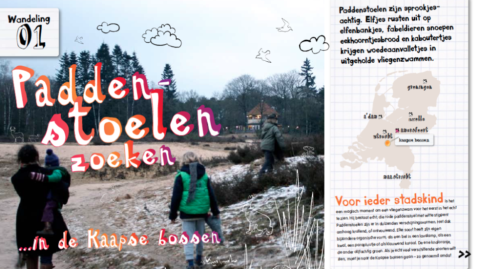 kaapse bossen herfstwandeling