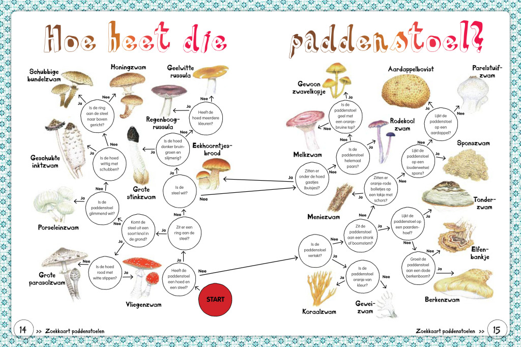 Weekend 5 paddenstoelen zoekkaart