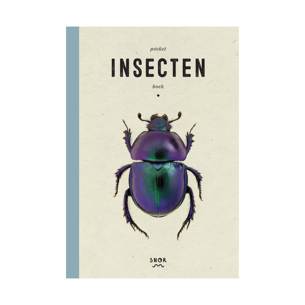 pocket insecten