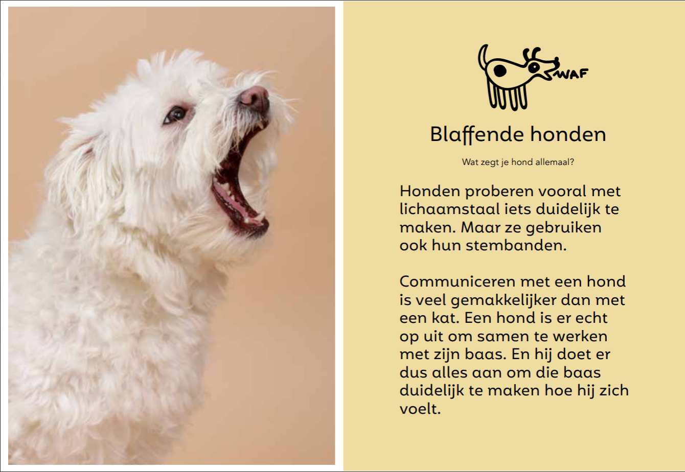 Blaffende honden