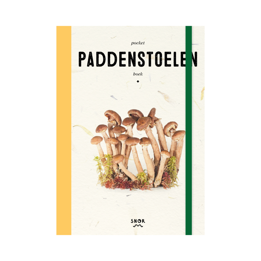 pocket paddenstoelen