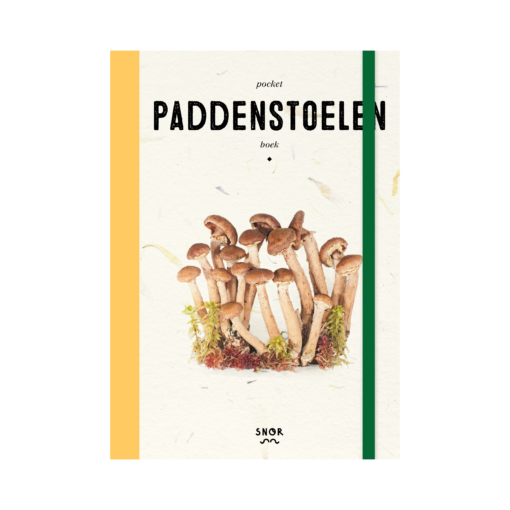 pocket paddenstoelen