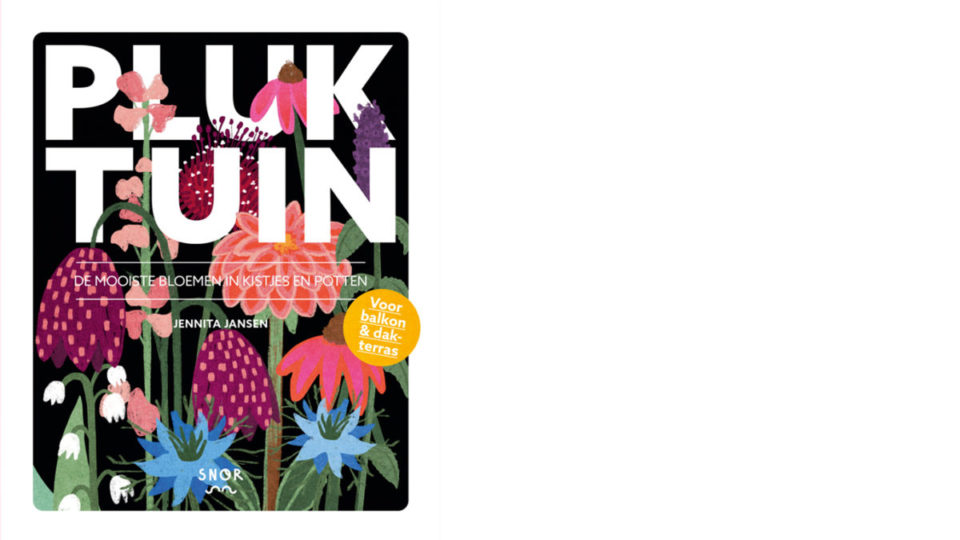 Cover website berichtkopie