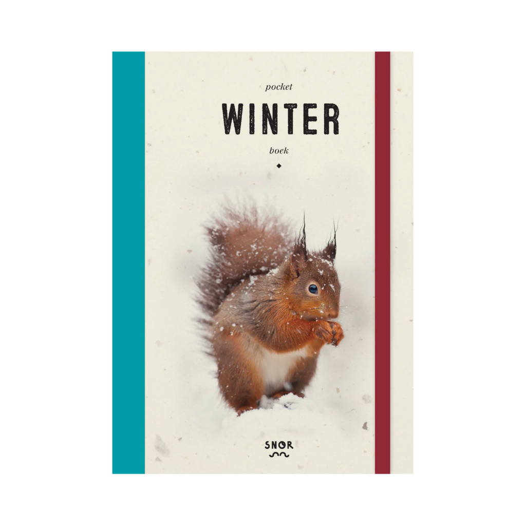 pocket winter