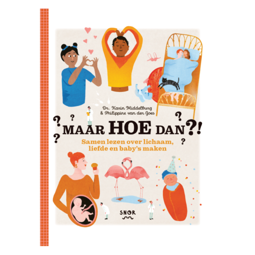 Maar hoe dan?! voorkant