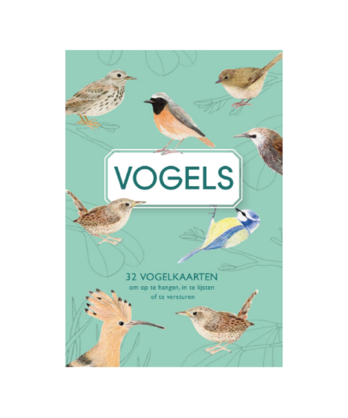 Vogels kaartenboekje