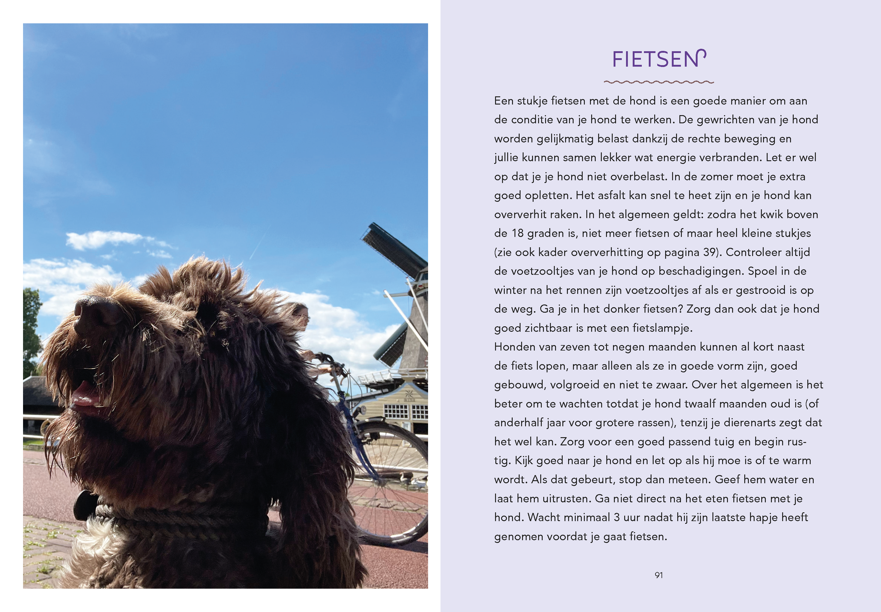 Hondenspelletjes