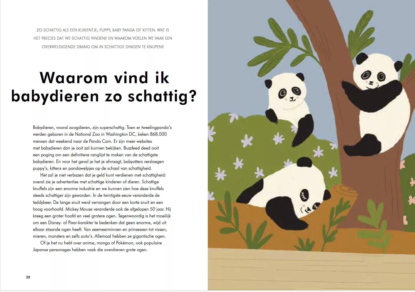 Waarom ben ik zo? Wetenschappelijke verklaring