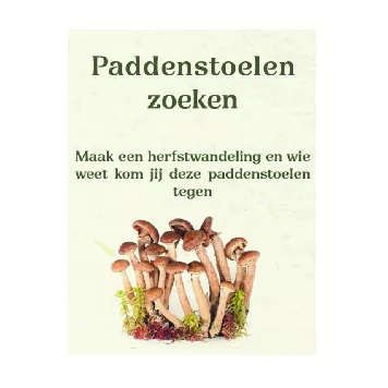 zine pdf