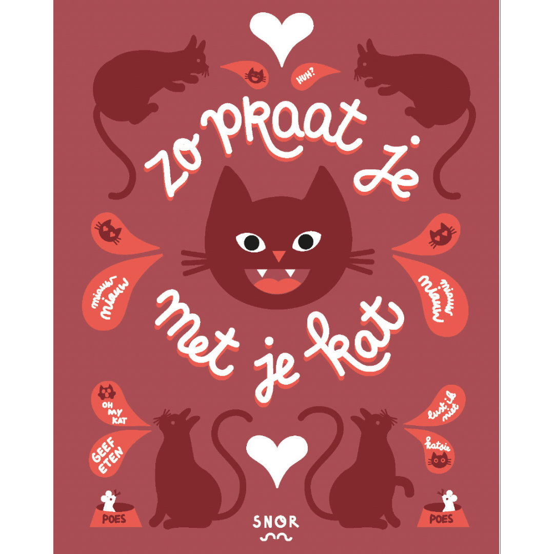 Zo praat je met je kat