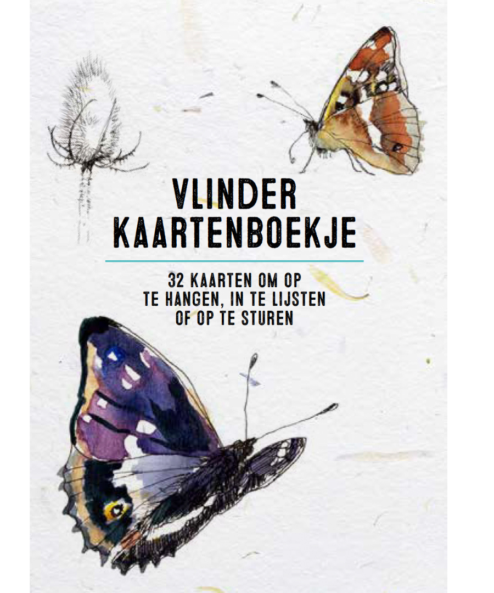 vlinderkaarten