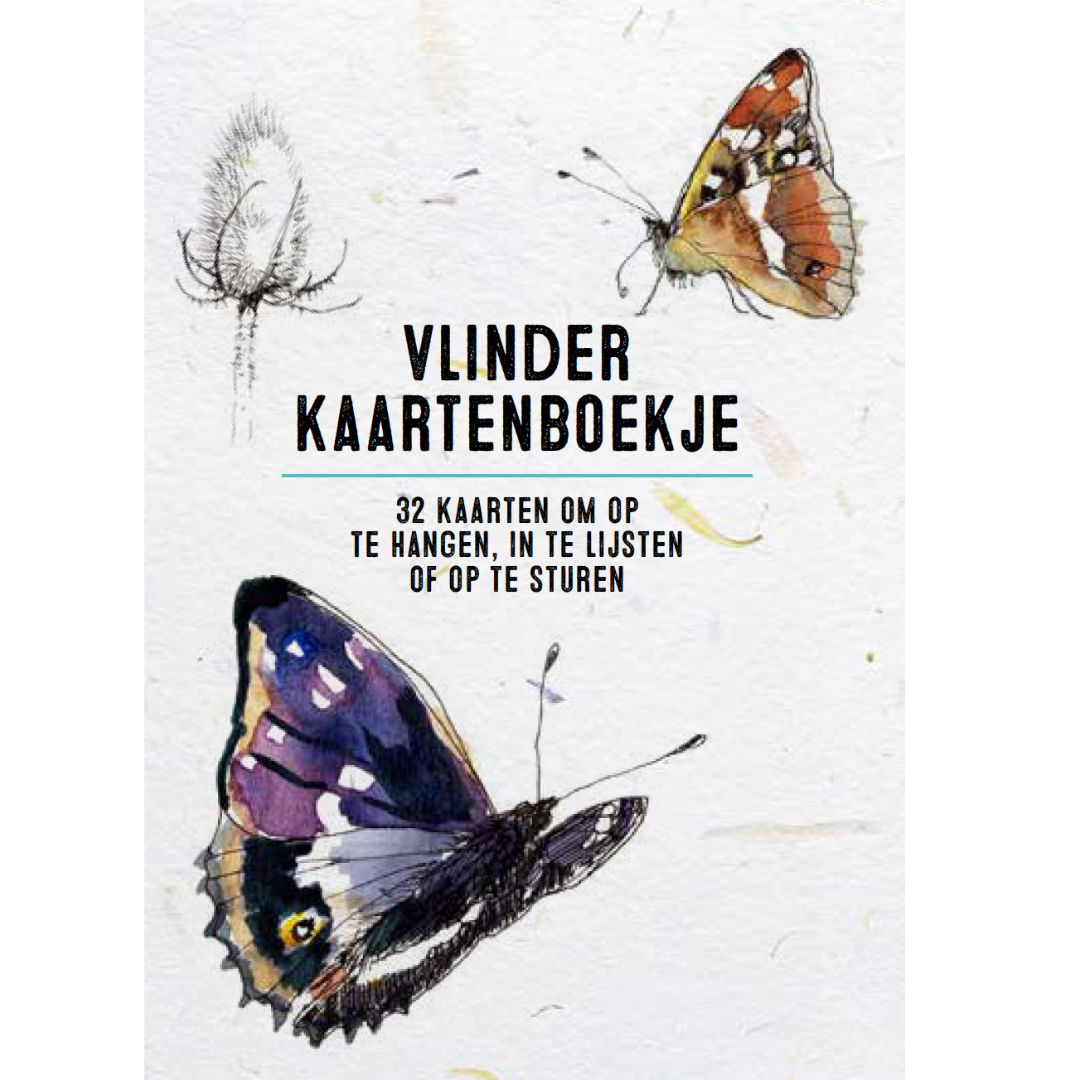 Vlinderkaartenboekje