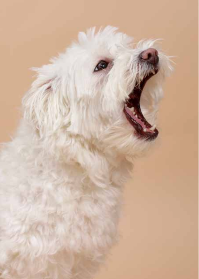 Scherm­afbeelding 2025 02 28 om 13.11.51