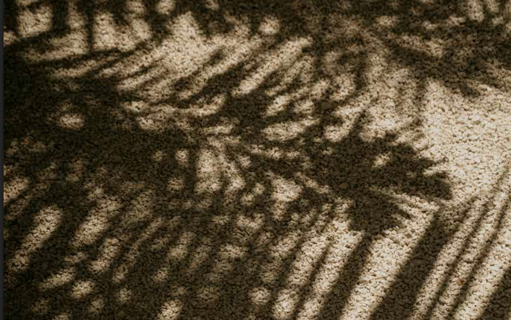 image 2025 10 08 124156002